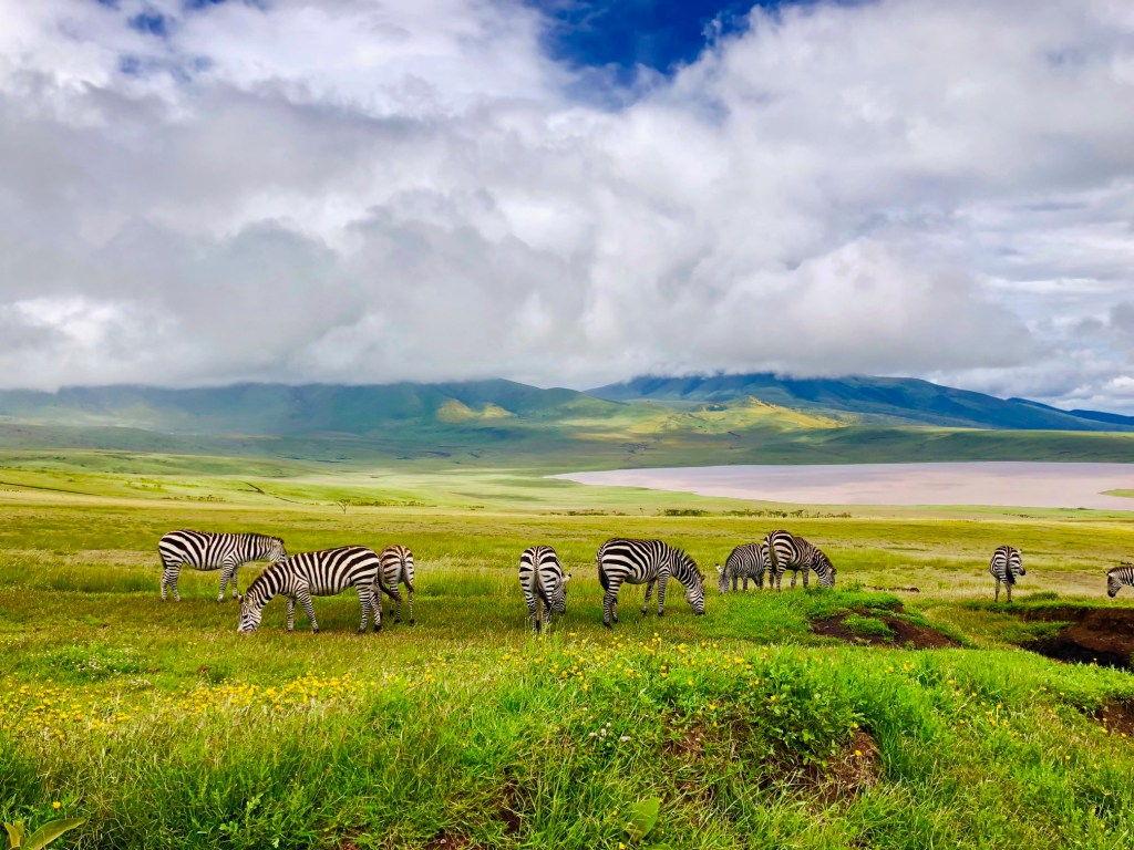 Ngorongoro-crater-1