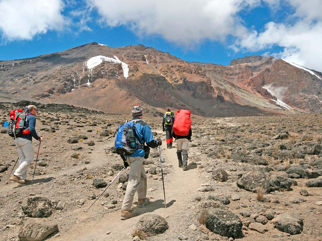 Kilimanjaro day trip