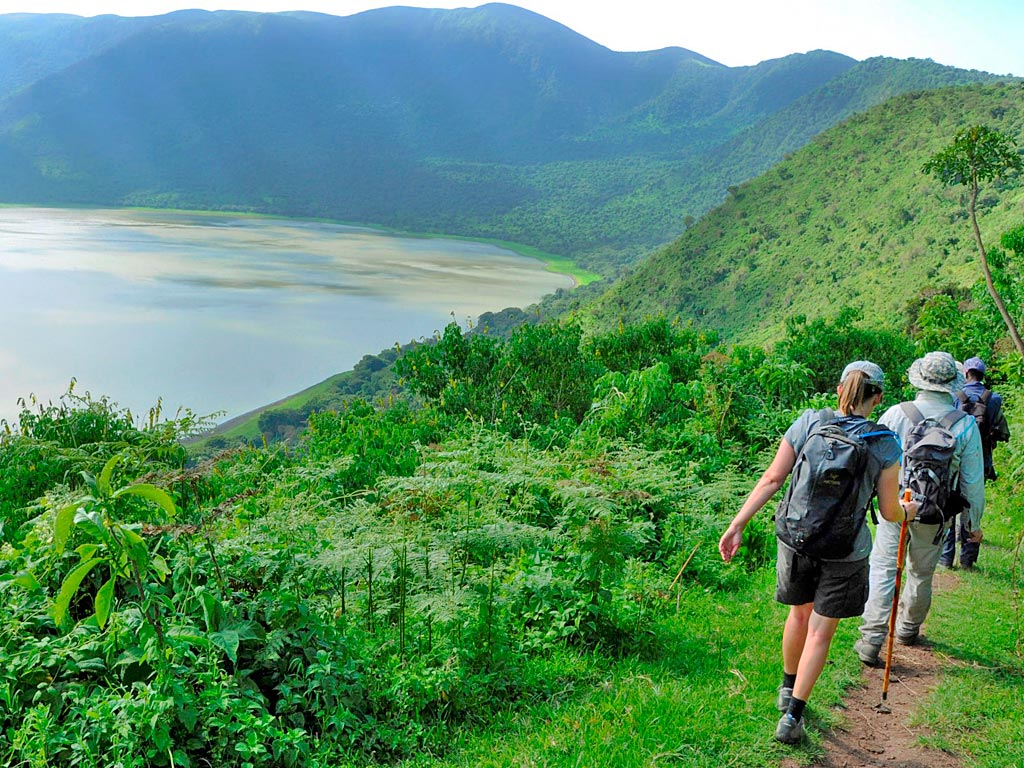 ngoro-highland-walking-tour